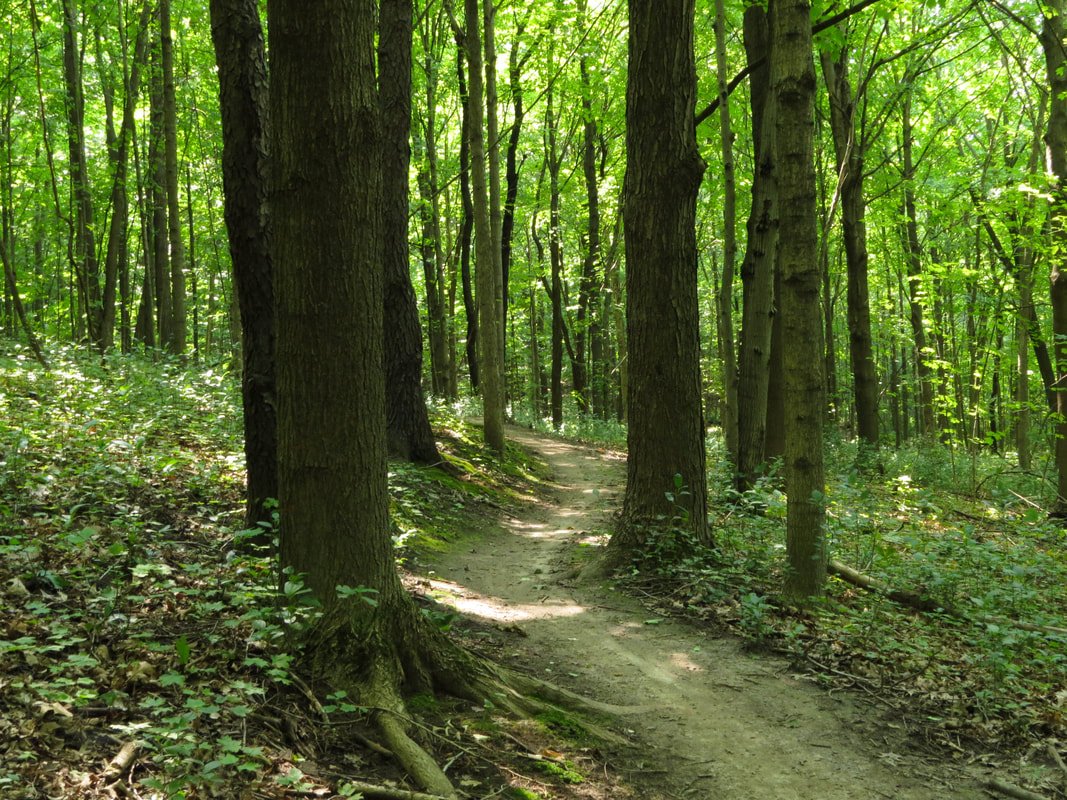 🏞️ 만간 폭포 (만간노타키) 이미지 8